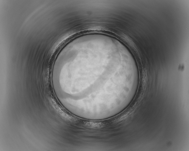 X0000114560831200911091216