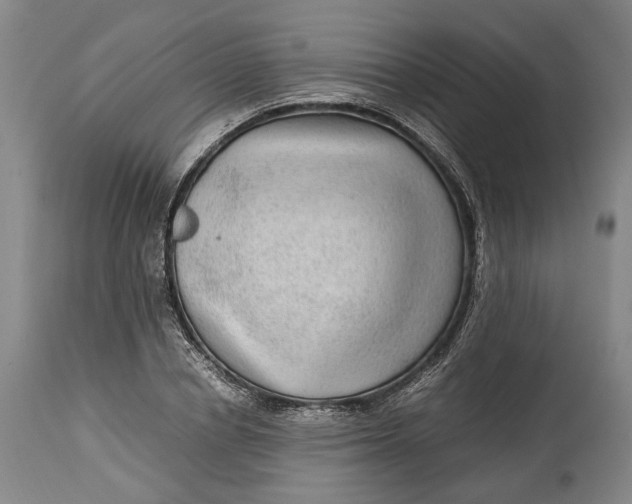 X0000114560834200911091216
