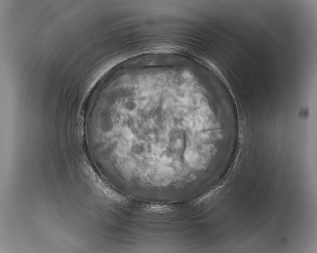 X0000114560835200911091216