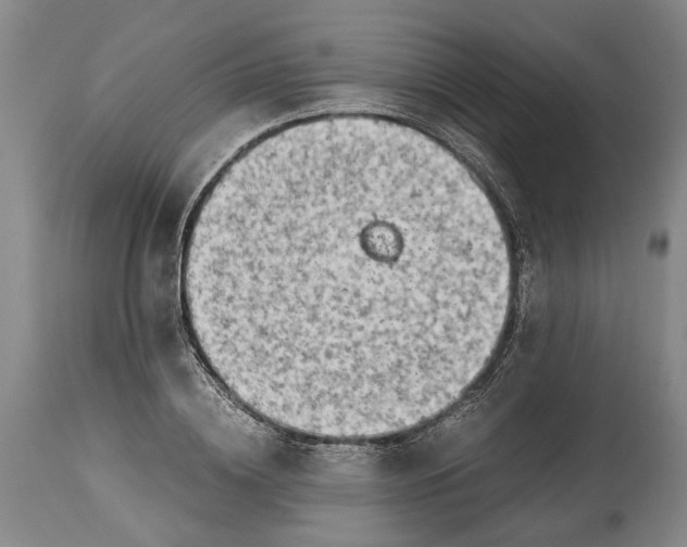 X0000114560836200911091216