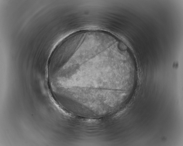 X0000114560839200911091216