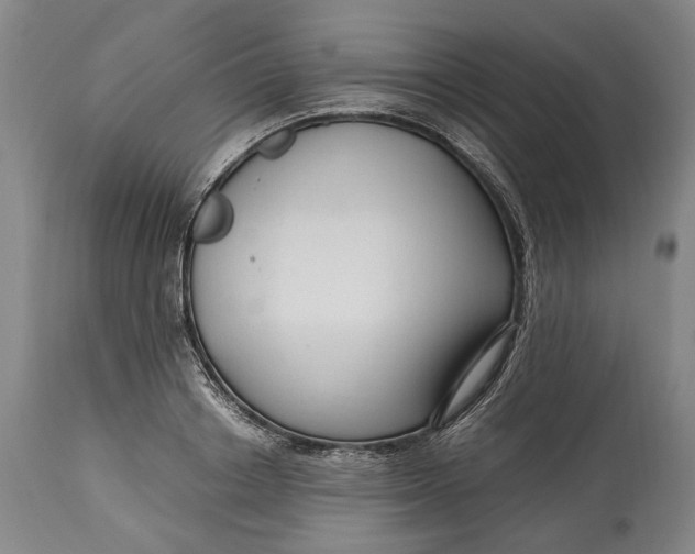 X0000114560842200911091216