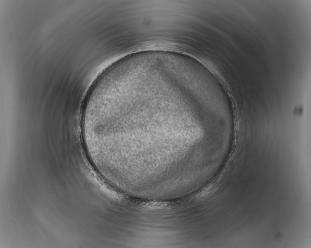 X0000114560846200911091216