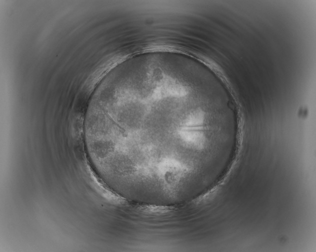 X0000114560849200911091216