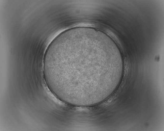 X0000114560852200911091216