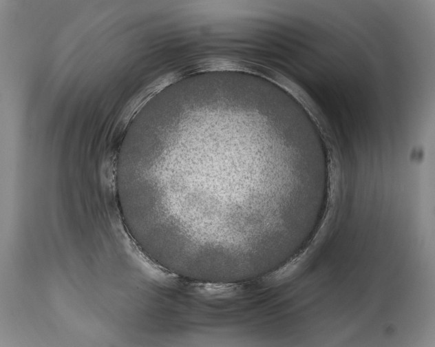 X0000114560857200911091216