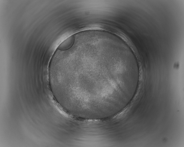 X0000114560858200911091216