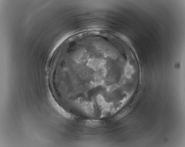 X0000114560859200911091216