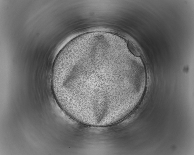X0000114560860200911091216