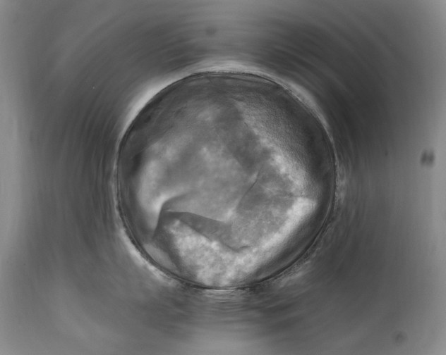 X0000114560863200911091216