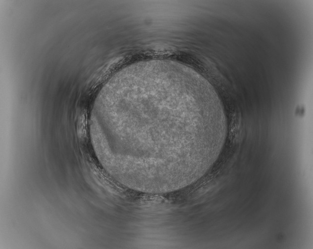X0000114560866200911091216