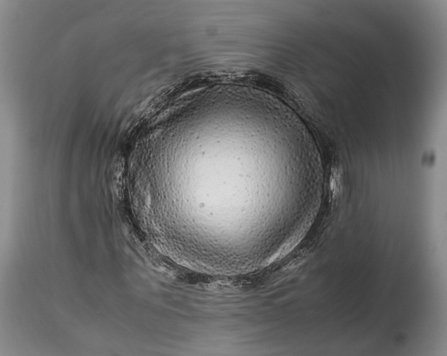 X0000114560867200911091216
