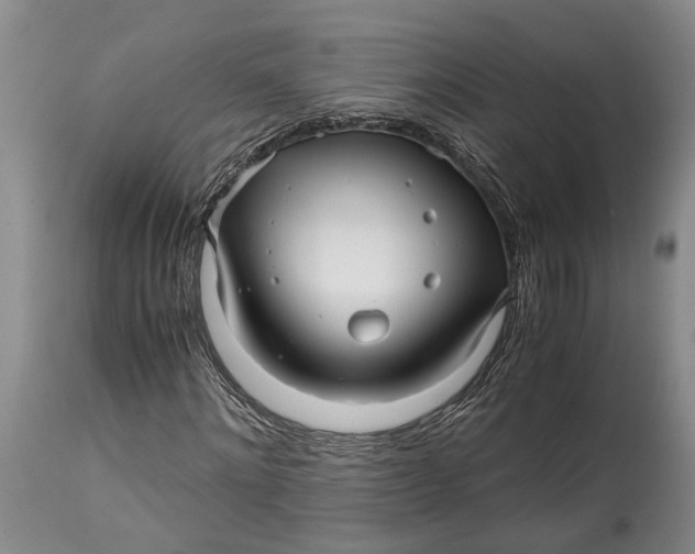 X0000114560868200911091216