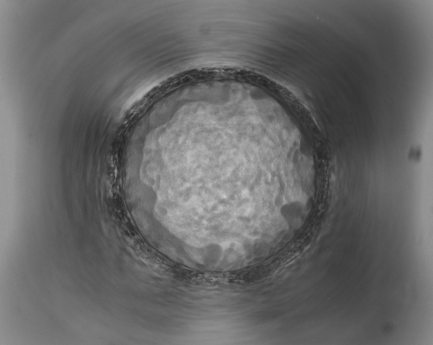 X0000114560871200911091216