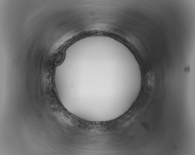 X0000114560872200911091216