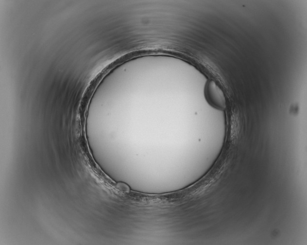 X0000114560876200911091216