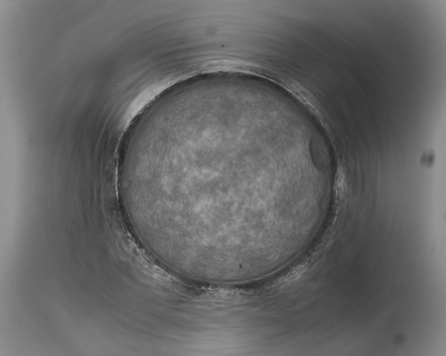 X0000114560877200911091216