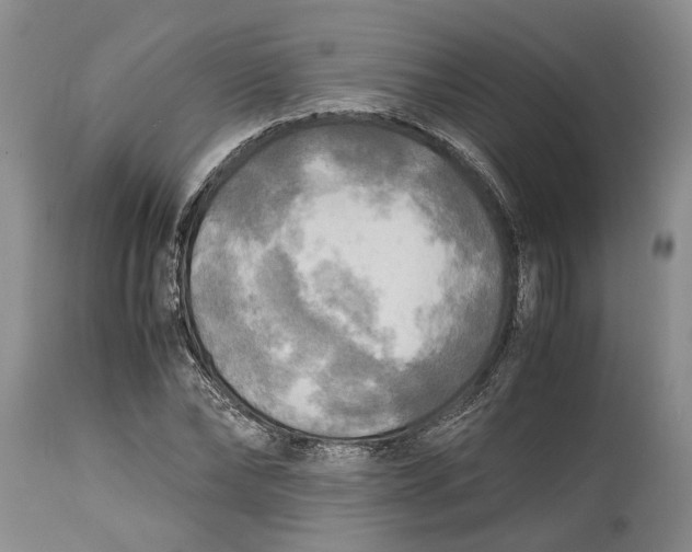 X0000114560878200911091216