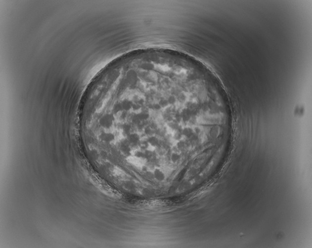 X0000114560879200911091216