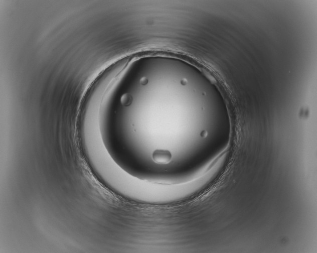X0000114560880200911091216