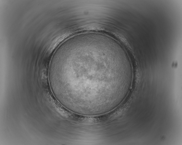 X0000114560881200911091216