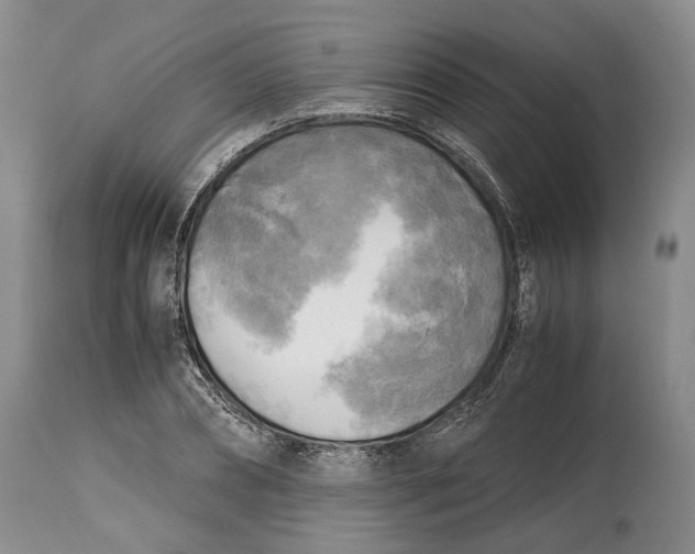 X0000114560882200911091216