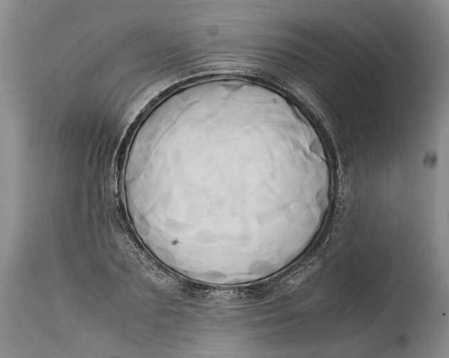 X0000114560883200911091215