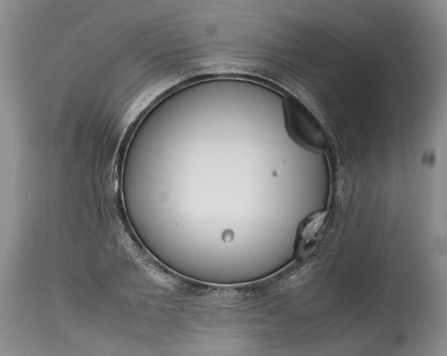 X0000114560885200911091215