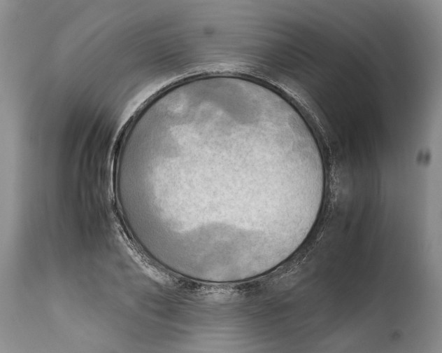 X0000114560886200911091215