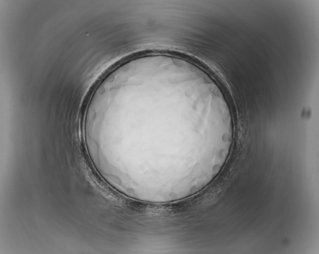 X0000114560887200911091215
