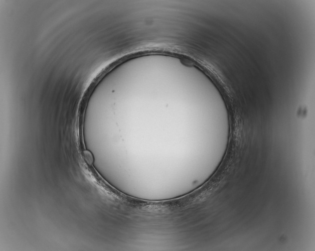 X0000114560888200911091215