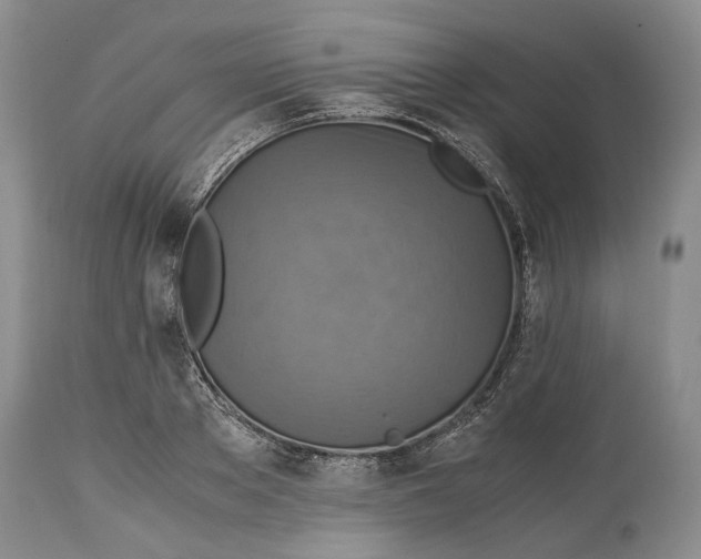 X0000114560889200911091215
