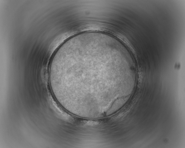 X0000114560890200911091215