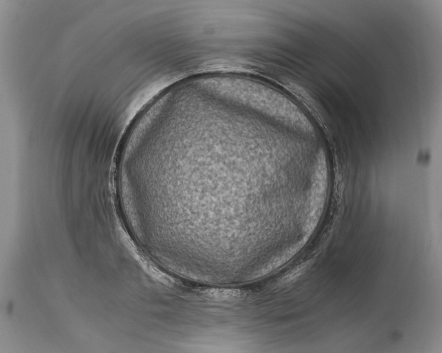 X0000114560893200911091215