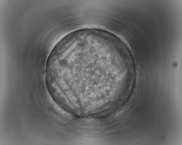 X0000114560895200911091215