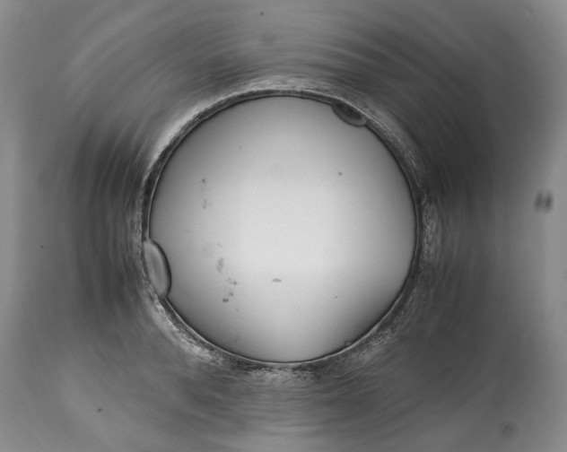 X0000114560896200911091215