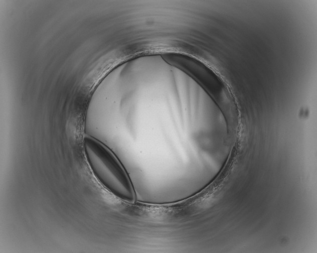 X0000114560897200911091215