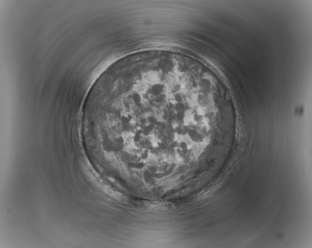 X0000114560899200911091215