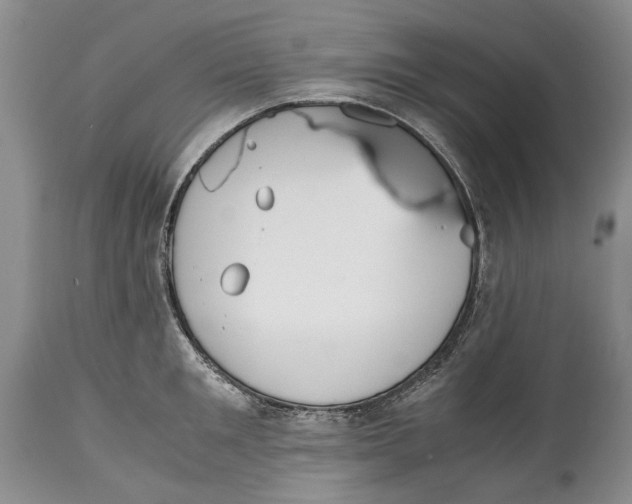 X0000114560901200911091215