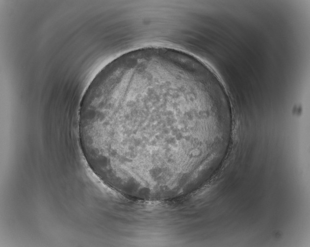 X0000114560903200911091215