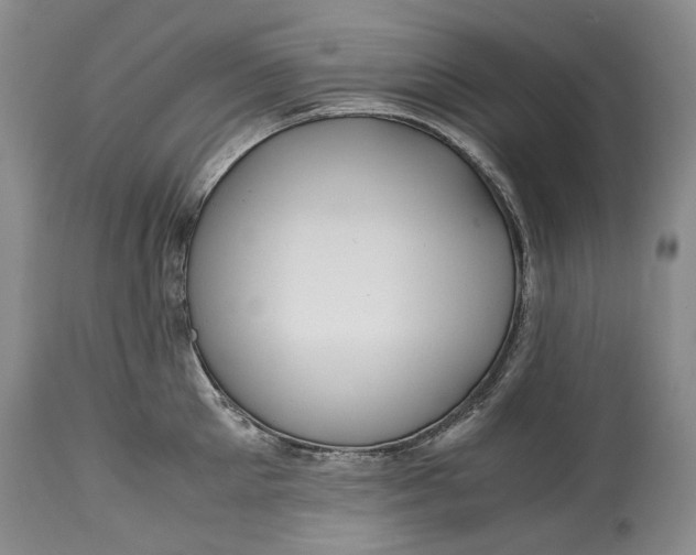 X0000114560905200911091215