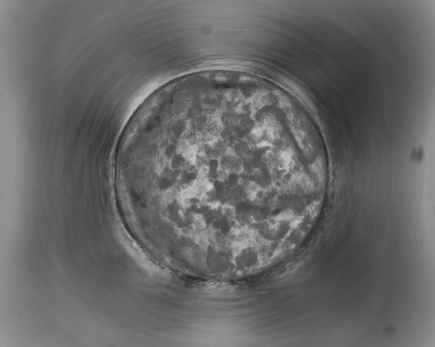 X0000114560907200911091215