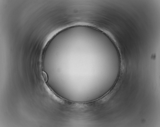 X0000114560910200911091215