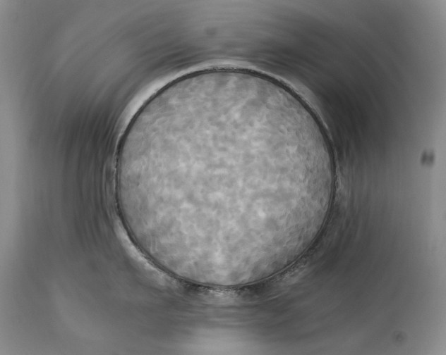 X0000114560911200911091215