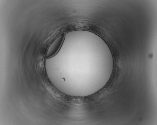 X0000114560914200911091214