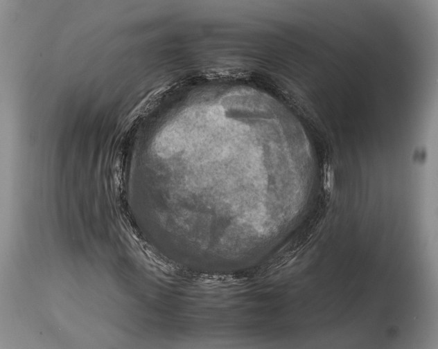 X0000114560915200911091214