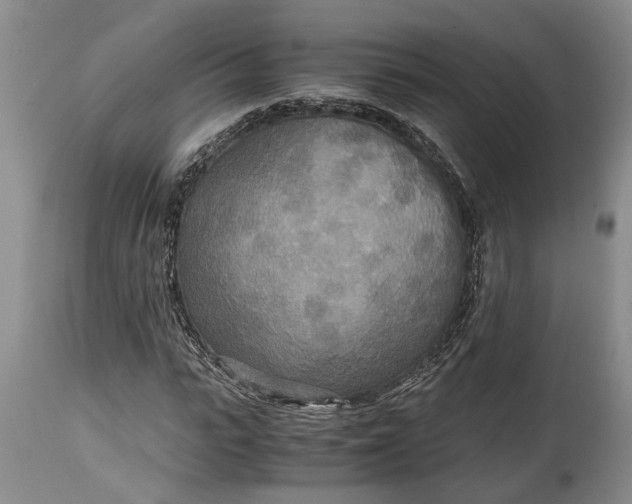 X0000114560919200911091215