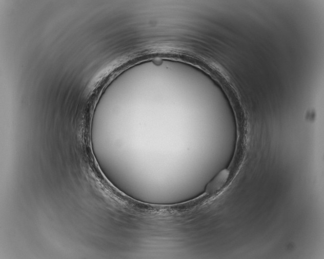 X0000114560922200911091215