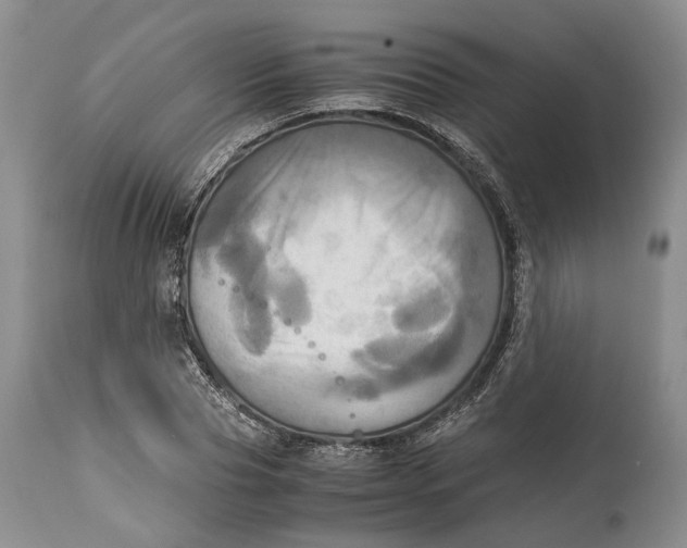 X0000114560929200911091215