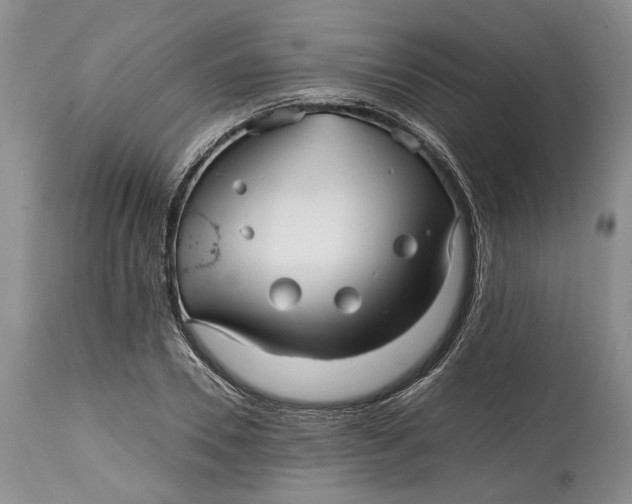 X0000114560930200911091215